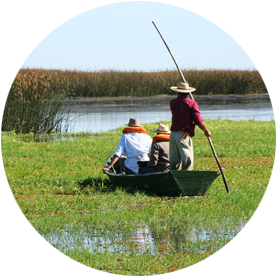 LICENCIATURA EN TURISMO