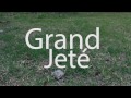 Grand Jetí - Cristian Damián Cochia